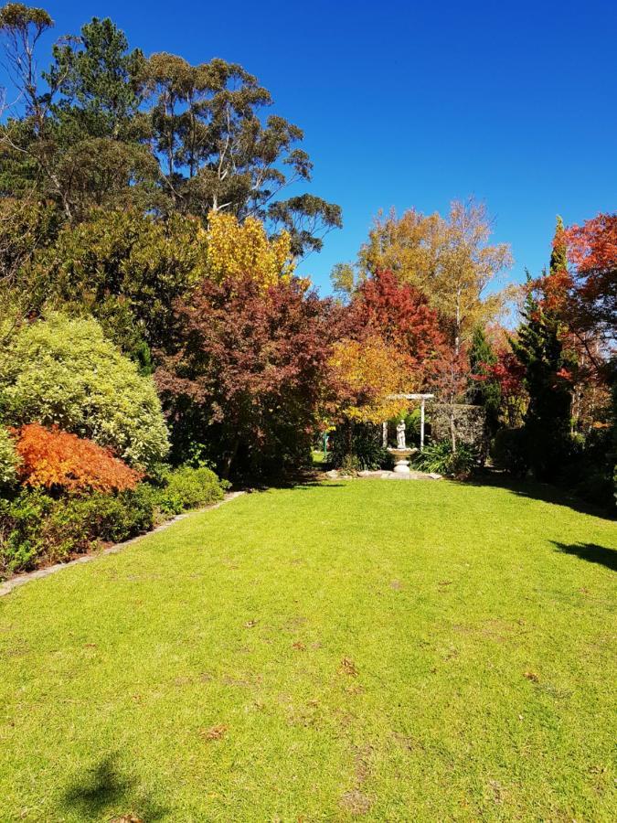 Winston Cottage At Three Sisters Katoomba Dış mekan fotoğraf