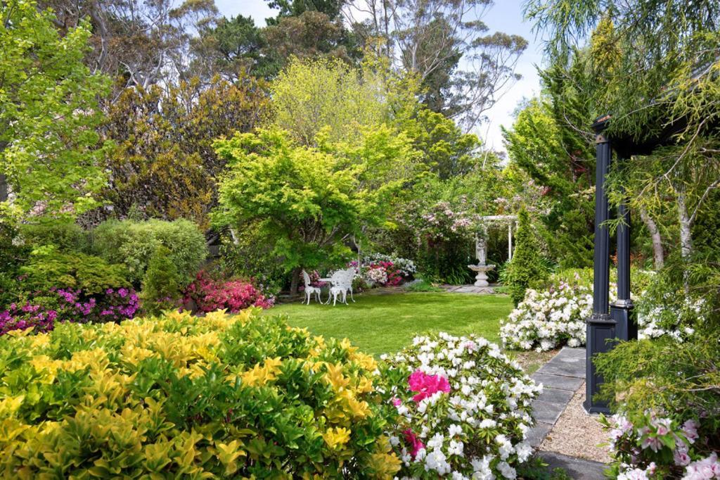 Winston Cottage At Three Sisters Katoomba Dış mekan fotoğraf
