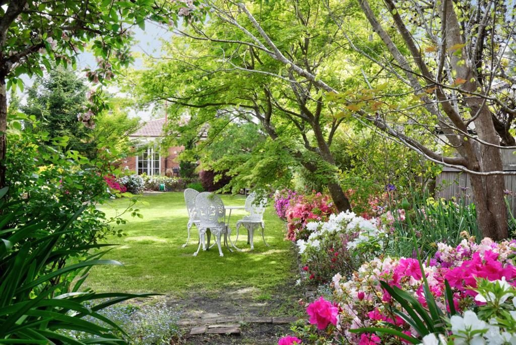 Winston Cottage At Three Sisters Katoomba Dış mekan fotoğraf