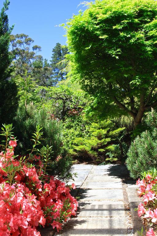 Winston Cottage At Three Sisters Katoomba Dış mekan fotoğraf