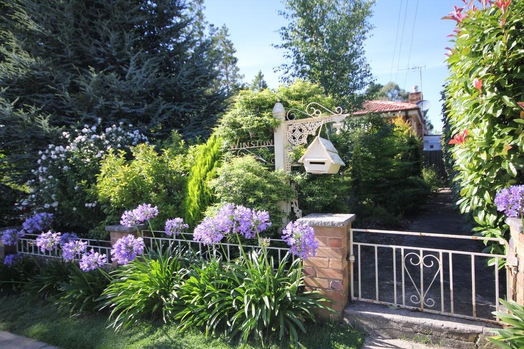 Winston Cottage At Three Sisters Katoomba Dış mekan fotoğraf