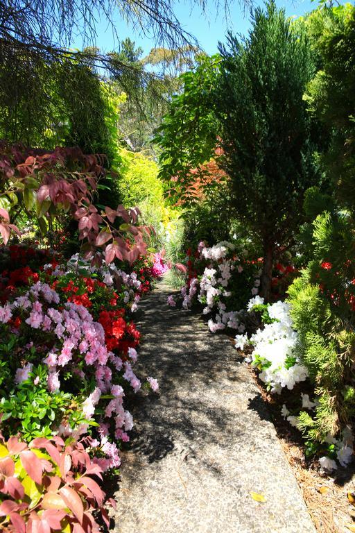 Winston Cottage At Three Sisters Katoomba Dış mekan fotoğraf