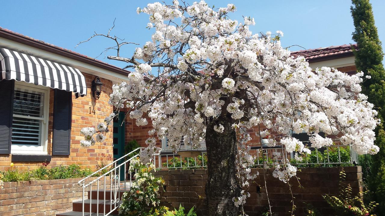 Winston Cottage At Three Sisters Katoomba Dış mekan fotoğraf