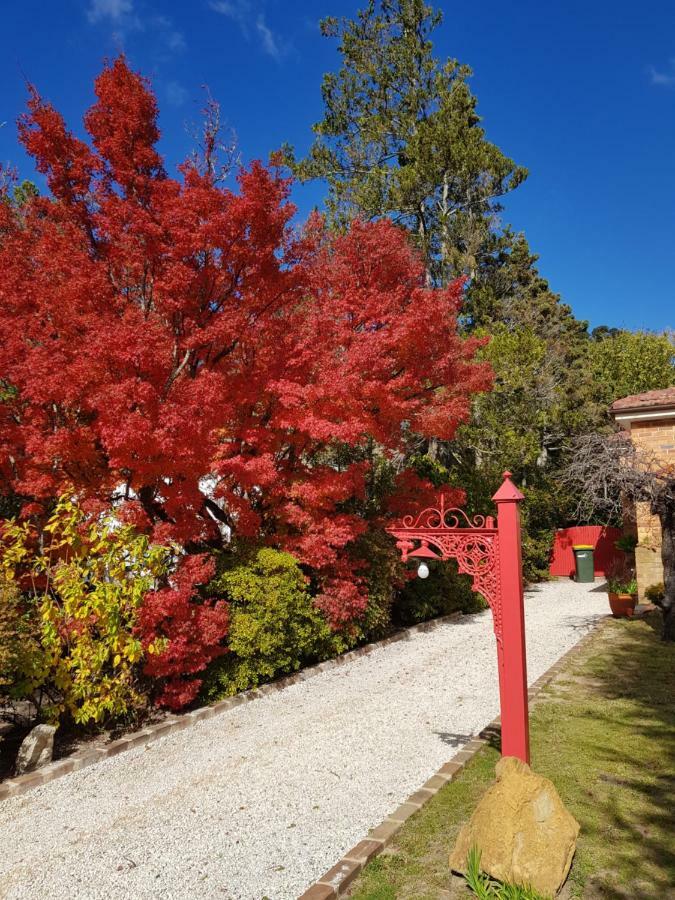 Winston Cottage At Three Sisters Katoomba Dış mekan fotoğraf